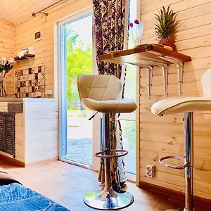 Родные Стены Guest house